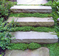 Murphy Stone and Tree